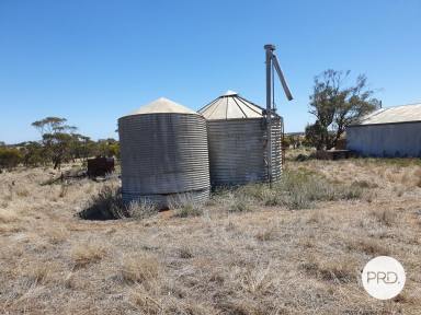Farm For Sale - VIC - Murrayville - 3512 - Superb Farming Property on 256 Hectares (approx.)  (Image 2)