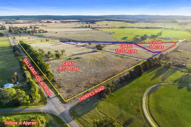 Farm For Sale - VIC - Napoleons - 3352 - Introducing a Premier Land Offering in Napoleons - 12 Acres of Potential  (Image 2)