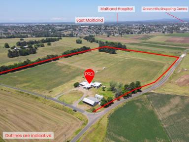 Farm For Sale - NSW - Pitnacree - 2323 - So close, but yet so far away  (Image 2)