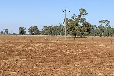 Farm For Sale - NSW - Narromine - 2821 - Stepping up or stepping down  (Image 2)