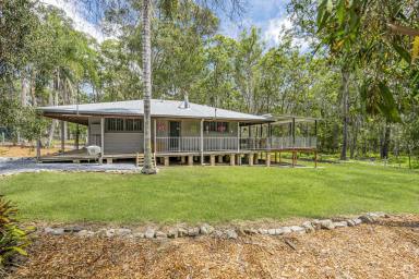 Farm For Sale - NSW - South Kempsey - 2440 - Secluded Paradise 10 Minutes from Beachside Community - Crescent Head  (Image 2)