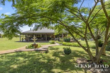 Farm Sold - QLD - Tamborine - 4270 - This stunning property is looking for a new family  (Image 2)