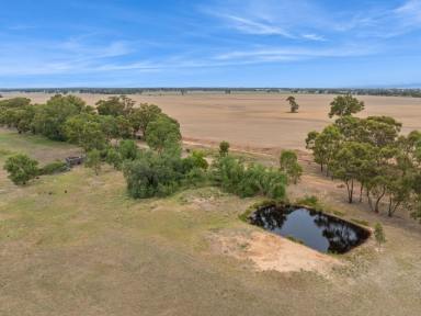 Farm For Sale - VIC - Woodvale - 3556 - "Harritables" - 176 acres renowned Woodvale district  (Image 2)