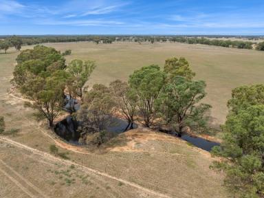 Farm For Sale - VIC - Woodvale - 3556 - "Harritables" - 176 acres renowned Woodvale district  (Image 2)