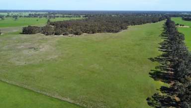 Farm Auction - VIC - Karnak - 3401 - ONLINE AUCTION - 14TH NOVEMBER $400,000 to $440,000  (Image 2)