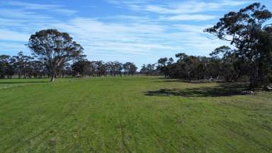 Farm Auction - VIC - Karnak - 3401 - ONLINE AUCTION - 14TH NOVEMBER $400,000 to $440,000  (Image 2)