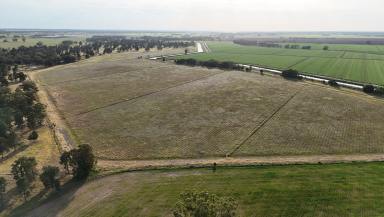 Farm For Sale - NSW - Coleambally - 2707 - "Welby" and "Egansford" Aggregation  (Image 2)
