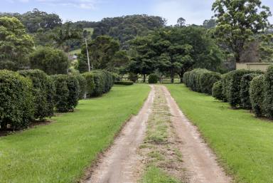 Farm Sold - NSW - Berry - 2535 - Between Berry and the Beach  (Image 2)