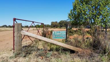 Farm For Sale - NSW - Mellool - 2734 - "MELLOOL STATION"  (Image 2)