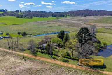 Farm For Sale - NSW - Gloucester - 2422 - Escape to the High Country  (Image 2)