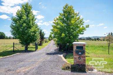Farm Sold - NSW - Glen Innes - 2370 - Dream Acreage  (Image 2)