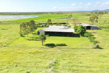 Farm Expressions of Interest - QLD - Woodstock - 4816 - Irrigation, grazing plus more  (Image 2)