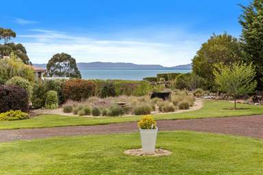 Farm For Sale - TAS - Swansea - 7190 - Lifestyle, privacy & uninterrupted views  (Image 2)