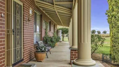Farm Sold - VIC - Echuca - 3564 - Private, peaceful lifestyle awaits  (Image 2)