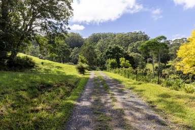 Farm For Sale - NSW - Broughton Vale - 2535 - "Willandra" - A Serene Retreat!  (Image 2)