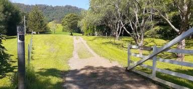 Farm Auction - NSW - Broughton Vale - 2535 - "Willandra" - A Serene Retreat!  (Image 2)