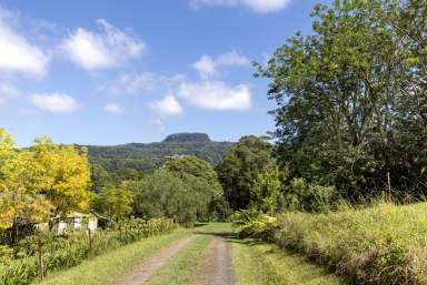 Farm For Sale - NSW - Broughton Vale - 2535 - "Willandra" - A Serene Retreat!  (Image 2)