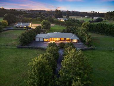 Farm For Sale - NSW - Yerrinbool - 2575 - Serene 4.7-Acre Equestrian Estate in Southern Highlands  (Image 2)