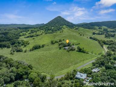 Farm For Sale - QLD - Pinbarren - 4568 - Amazing Views on Ex-Dairy Country  (Image 2)