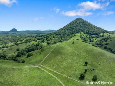 Farm For Sale - QLD - Pinbarren - 4568 - Amazing Views on Ex-Dairy Country  (Image 2)