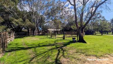 Farm Sold - WA - Gingin - 6503 - "Willow Brook Farm"  (Image 2)