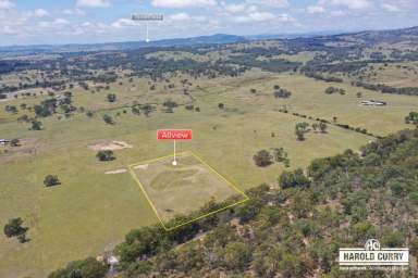 Farm Sold - NSW - Tenterfield - 2372 - 'Allview' - Say No More.....  (Image 2)