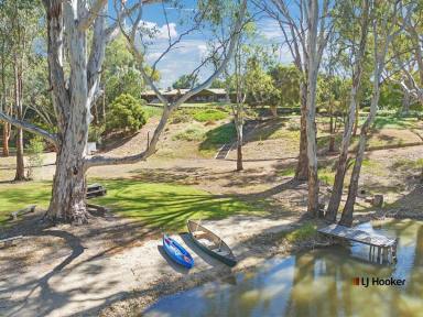 Farm For Sale - VIC - Echuca - 3564 - Inspiration On The Creek By The Rivers  (Image 2)