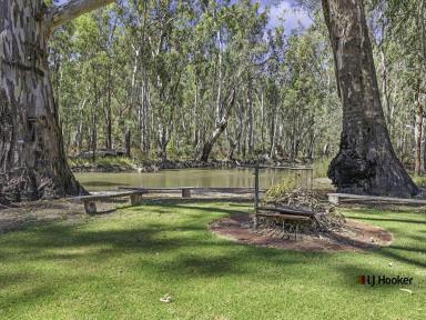 Farm For Sale - VIC - Echuca - 3564 - Inspiration On The Creek By The Rivers  (Image 2)