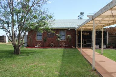 Farm Sold - NSW - Forbes - 2871 - Have you been looking for a lifestyle change?  (Image 2)