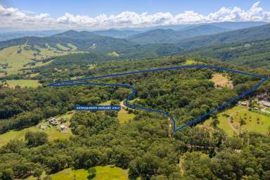 Farm Sold - NSW - Dungog - 2420 - Branch Out  (Image 2)