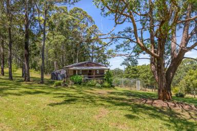 Farm For Sale - NSW - Dungog - 2420 - Branch Out  (Image 2)