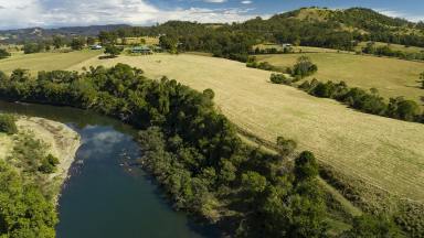 Farm For Sale - NSW - Karaak Flat - 2429 - Colonial Style Home on the Manning River only minutes from Wingham  (Image 2)