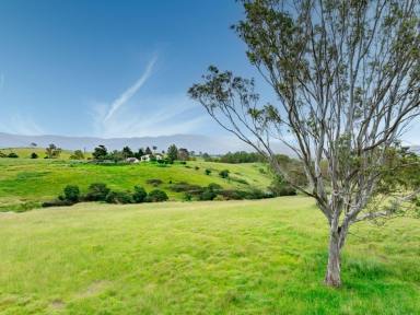 Farm For Sale - NSW - Bemboka - 2550 - MOUNT VISTA  (Image 2)