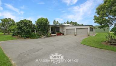 Farm For Sale - QLD - Mareeba - 4880 - PRIME COMMERCIAL ORCHARD FARM  (Image 2)