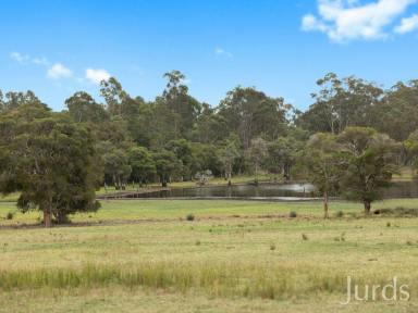 Farm For Sale - NSW - Kitchener - 2325 - ANYSSA PARK  (Image 2)