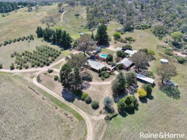 Farm For Sale - NSW - Yarras - 2795 - MULTI-RESIDENCE INVESTMENT ON 104 ACRES  (Image 2)