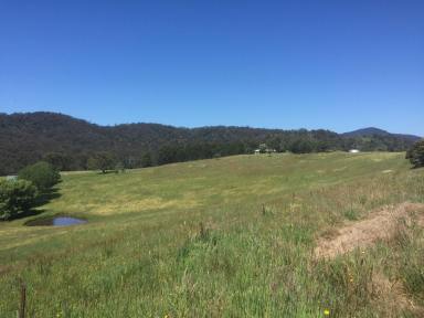 Farm For Sale - NSW - Wyndham - 2550 - GRAZING LIVESTOCK/LIFESTYLE FARM - 220 ACRES WITH 4 BEDROOM HOME - JUST 7 MINUTES FROM WYNDHAM VILLAGE  (Image 2)