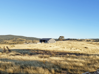 Farm For Sale - NSW - Kerrs Creek - 2800 - Peaceful living and picturesque views - New Price  (Image 2)