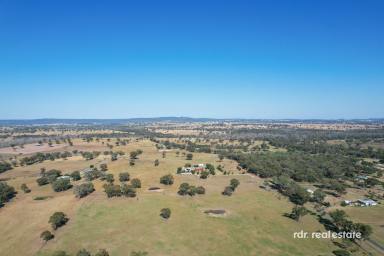 Farm For Sale - NSW - Bundarra - 2359 - WELCOME TO "MUIRHEAD HEIGHTS"  (Image 2)