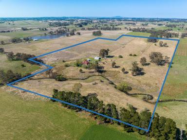 Farm Sold - NSW - Orange - 2800 - 'Riversdale' perfect lifestyle property  (Image 2)