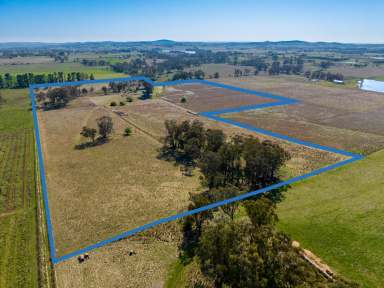 Farm Sold - NSW - Orange - 2800 - 'Riversdale' perfect lifestyle property  (Image 2)