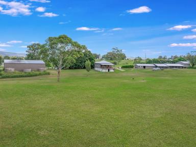 Farm For Sale - QLD - King Scrub - 4521 - Endless Opportunities  (Image 2)