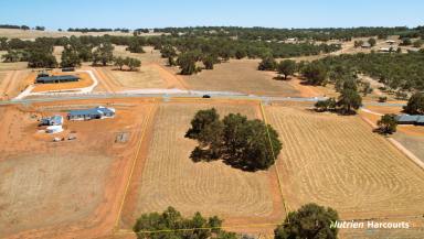 Farm For Sale - WA - Gingin - 6503 - Magnificent views over the Cheriton Valley! Serenity & country living on your dream property awaits you...  (Image 2)