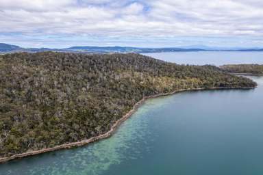 Farm For Sale - TAS - Taranna - 7180 - Secluded Waterfront Sanctuary. A Nature Lovers Haven.  (Image 2)