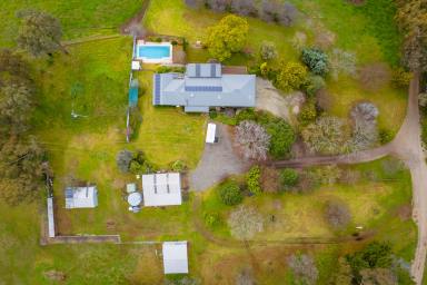 Farm For Sale - VIC - Huon - 3695 - Spectacular weir views, executive home with 100 acres   (Image 2)