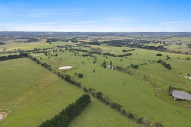 Farm For Sale - NSW - Sutton Forest - 2577 - Substantial Acreage - Within Easy Drive of Sydney  (Image 2)
