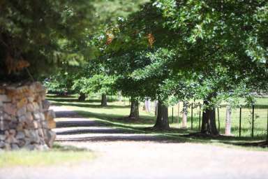 Farm For Sale - NSW - Sutton Forest - 2577 - Araluen Homestead - Substantial Acreage - Within Easy Drive of Sydney  (Image 2)