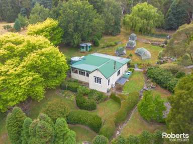 Farm Sold - TAS - Underwood - 7268 - Lifestyle property just 20 minutes from the CBD  (Image 2)