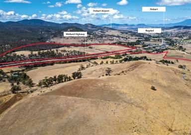 Farm For Sale - TAS - Bagdad - 7030 - Sizeable farming operation with long-term development potential**  (Image 2)