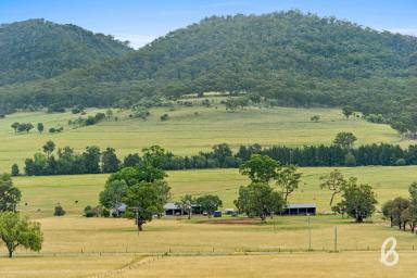 Farm For Sale - NSW - Martindale - 2328 - "FAIRLIGHT" | 387 ACRES – STUNNING SCENERY & WATER SECURITY  (Image 2)